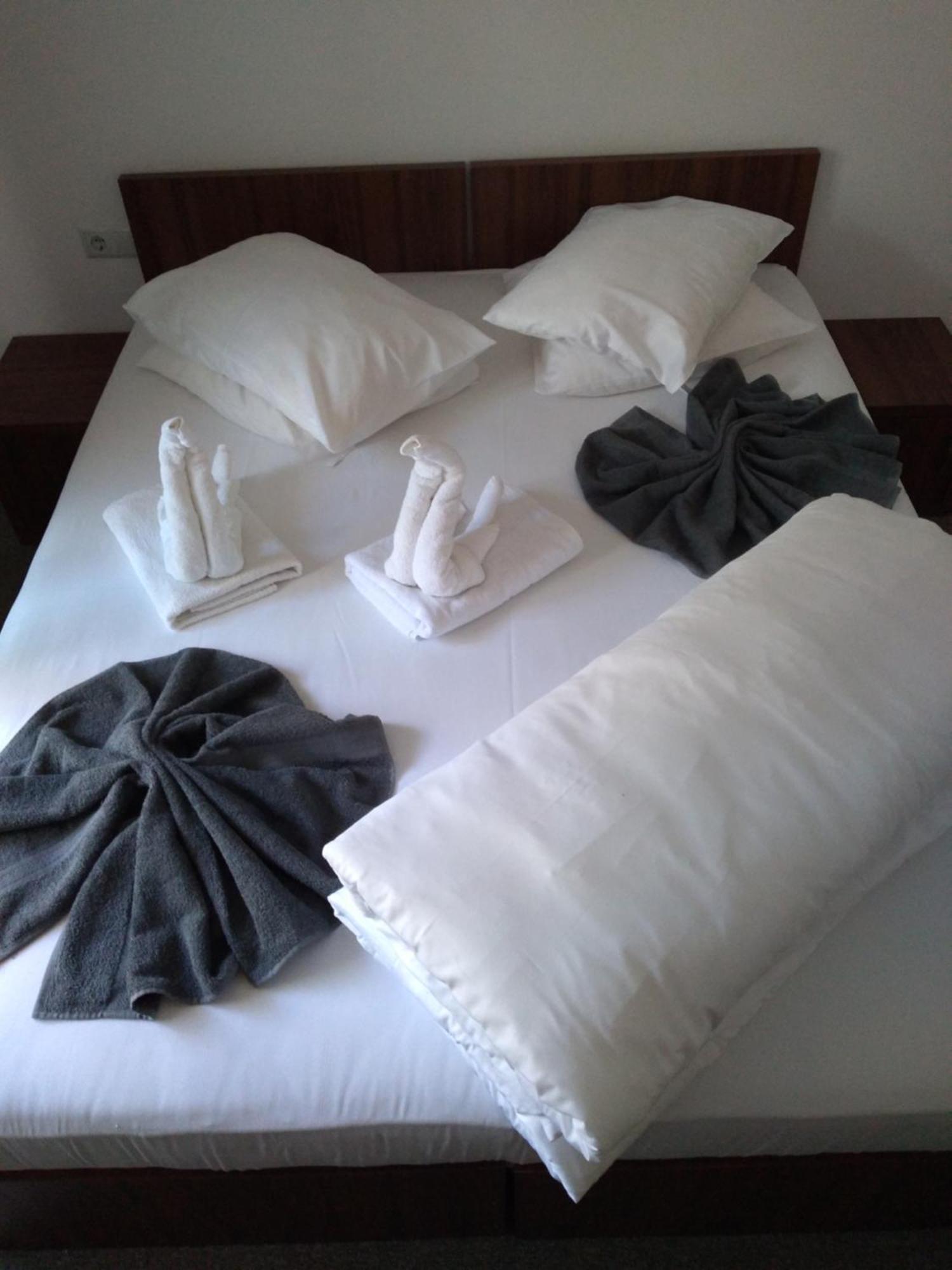 Pensiunea Floare De Colt Hotel Baile Herculane Bilik gambar